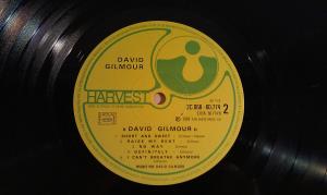 David Gilmour (11)